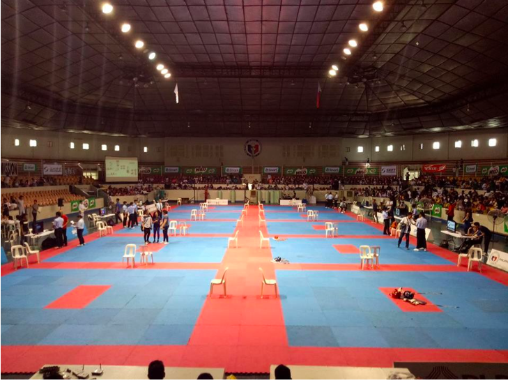 philippine-taekwondo-association-human-interest